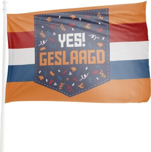 Feestartikelen | Geslaagd Vlag- Yes You Did It- Xl Vlag Geslaagd – Premium 150Cm X 90Cm – Geslaagd Vlaggen – Vlag Graduation – Geslaagd Versiering – Vlag Diploma Behaald- Partylove Feestartikelen Feestartikelen