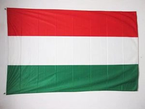 Feestartikelen | Hongaarse Vlag – Hongarije Vlag – 90 X 150 Cm. Feestartikelen Feestartikelen