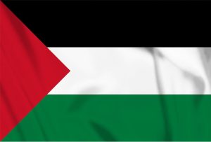 Feestartikelen | Vlag Palestina, Palestijnse Vlag Feestartikelen Feestartikelen