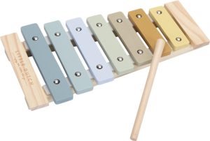 Zingen & Muziek | Houten Xylofoon – Muziekinstrument – Blauw Baby & Peuter Baby & Peuter